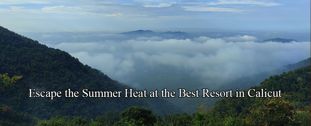Escape the Summer Heat at the Best Resort in Calicut