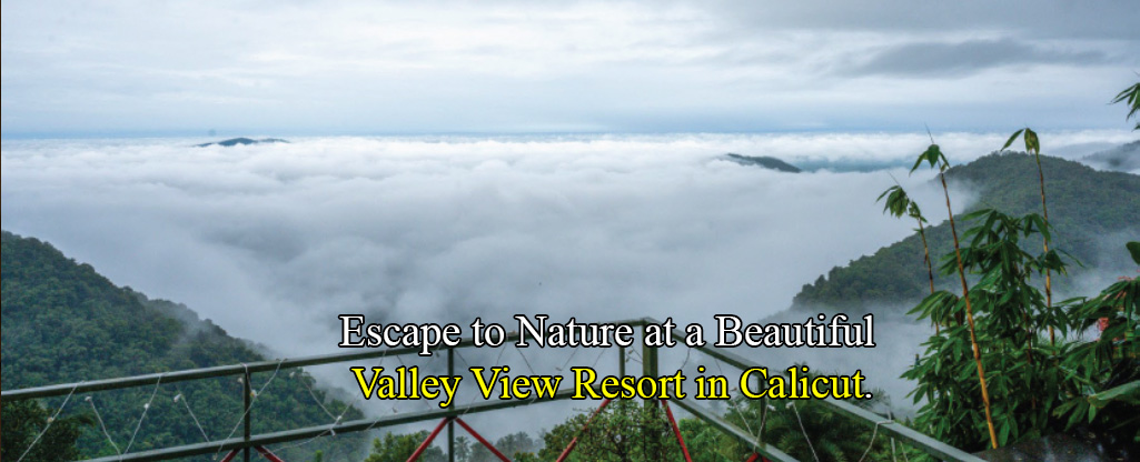 Escape to Nature at a Beautiful Valley View Resort in Calicut